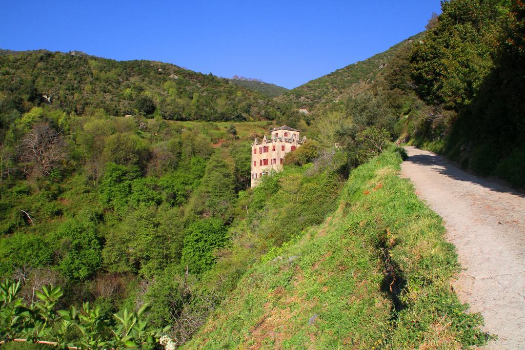 Kallista 1 San-Giuliano Ruang foto